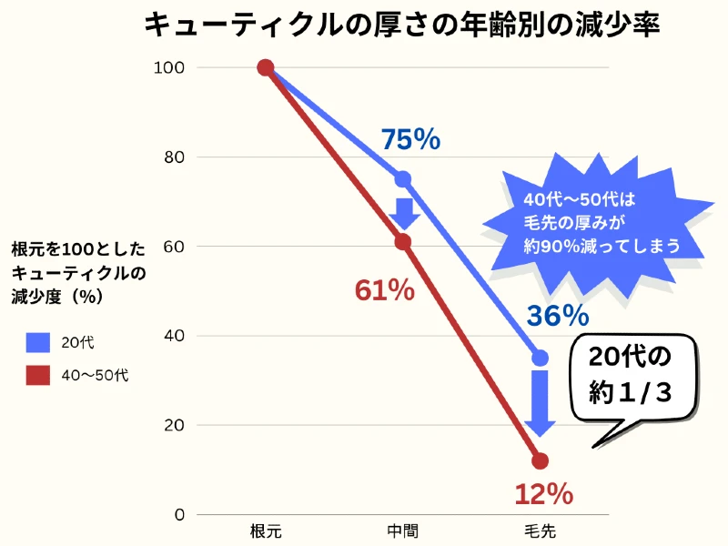 キューティクルの厚さの年齢別の減少率
根元を100としたキューティクルの減少度（％）
40代～50代は毛先の厚みが約90％減ってしまう
20代の約１/３